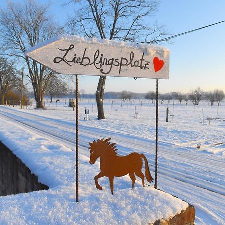 Ferienwohnung Auf Pferdehof Dreetz Eksteriør bilde