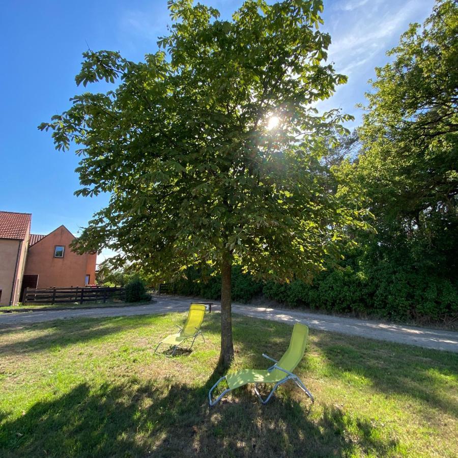 Ferienwohnung Auf Pferdehof Dreetz Eksteriør bilde